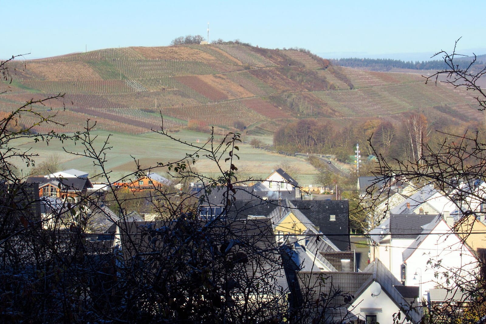 Petry's Backstuben photo 4
