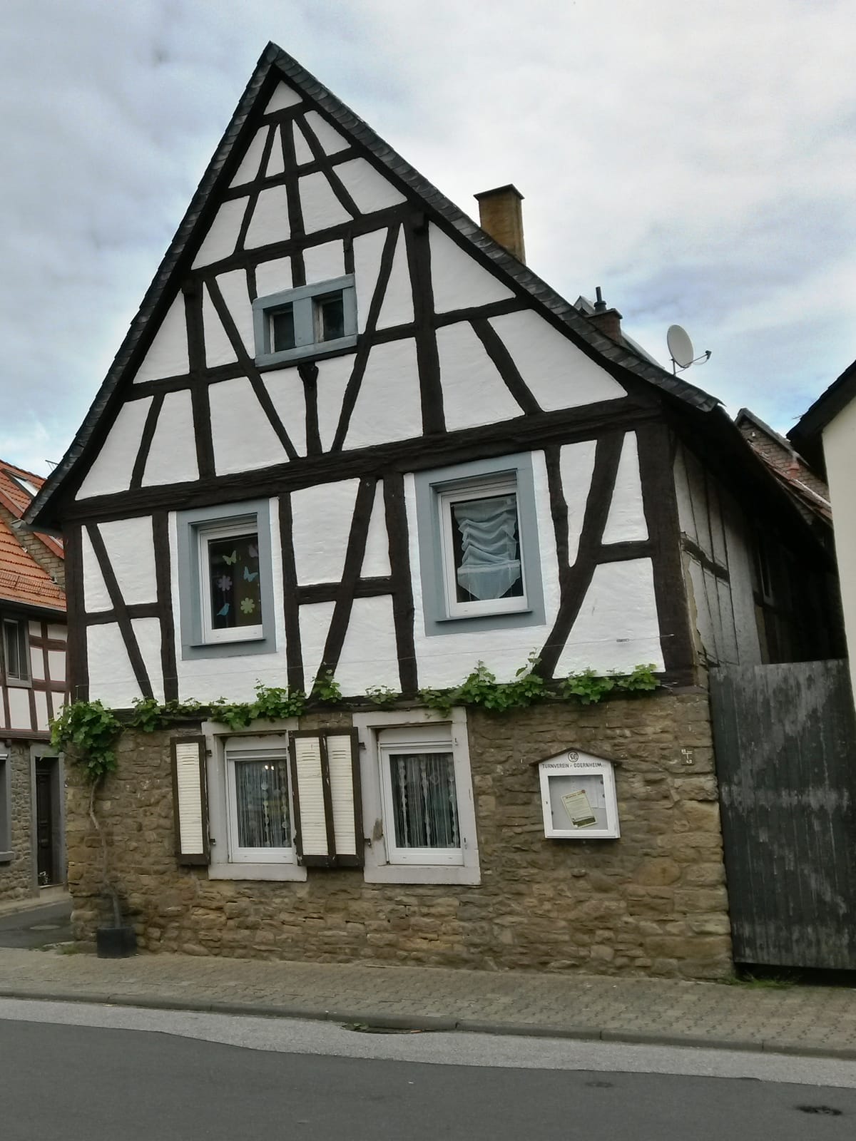 Café Augenweide photo 4