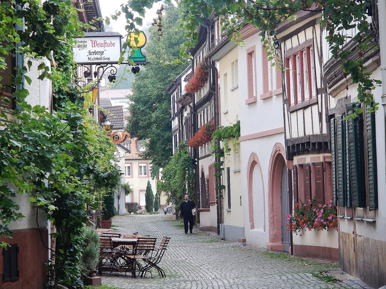 Bistro Kaffee Bohne photo 2