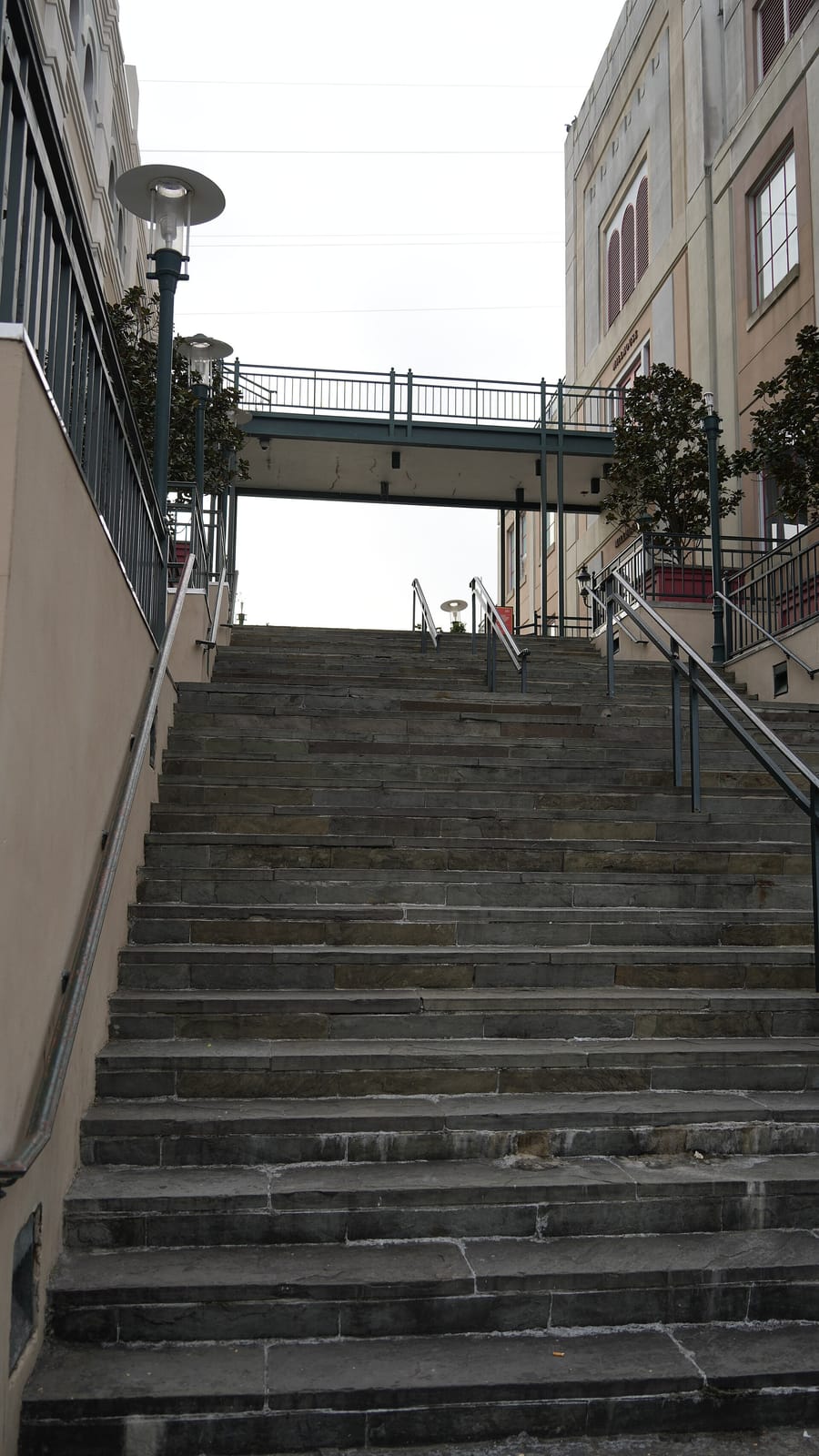 Cafe Beignet photo 2