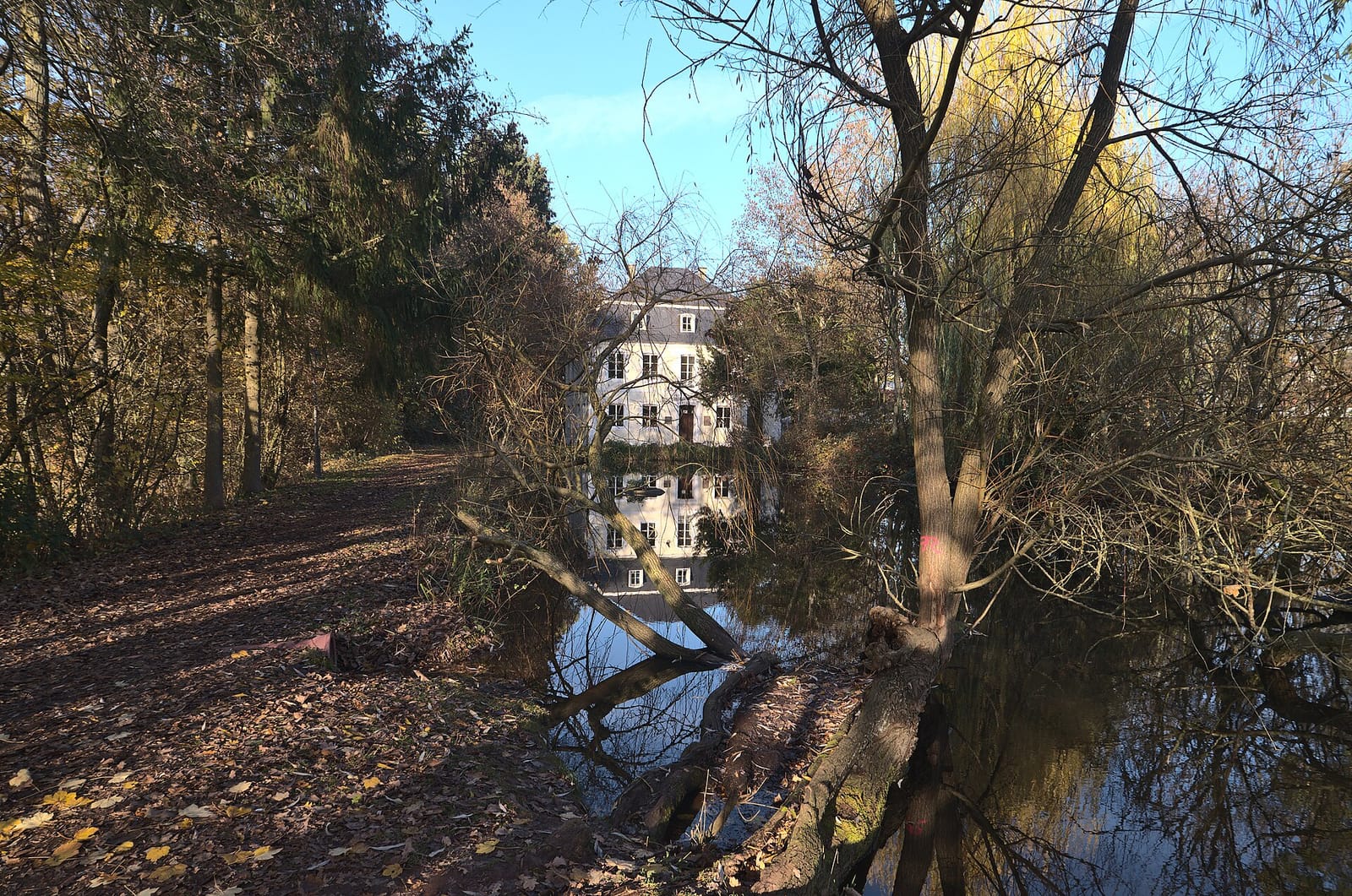 Café Schloss Buseck photo 4
