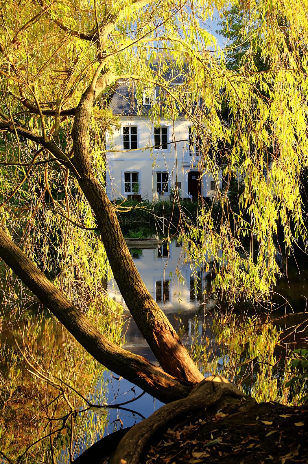 Café Schloss Buseck photo 2