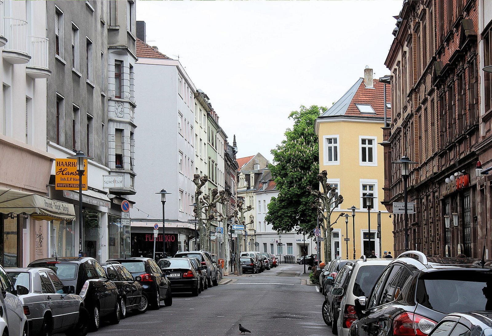 Café Schrill photo 4