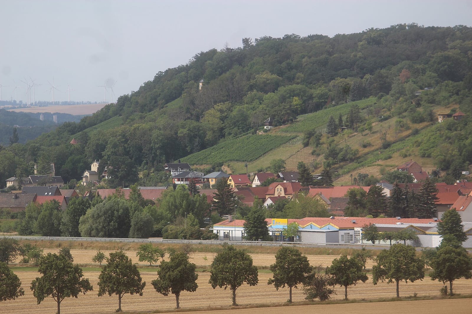 Weinbergcafe photo 4