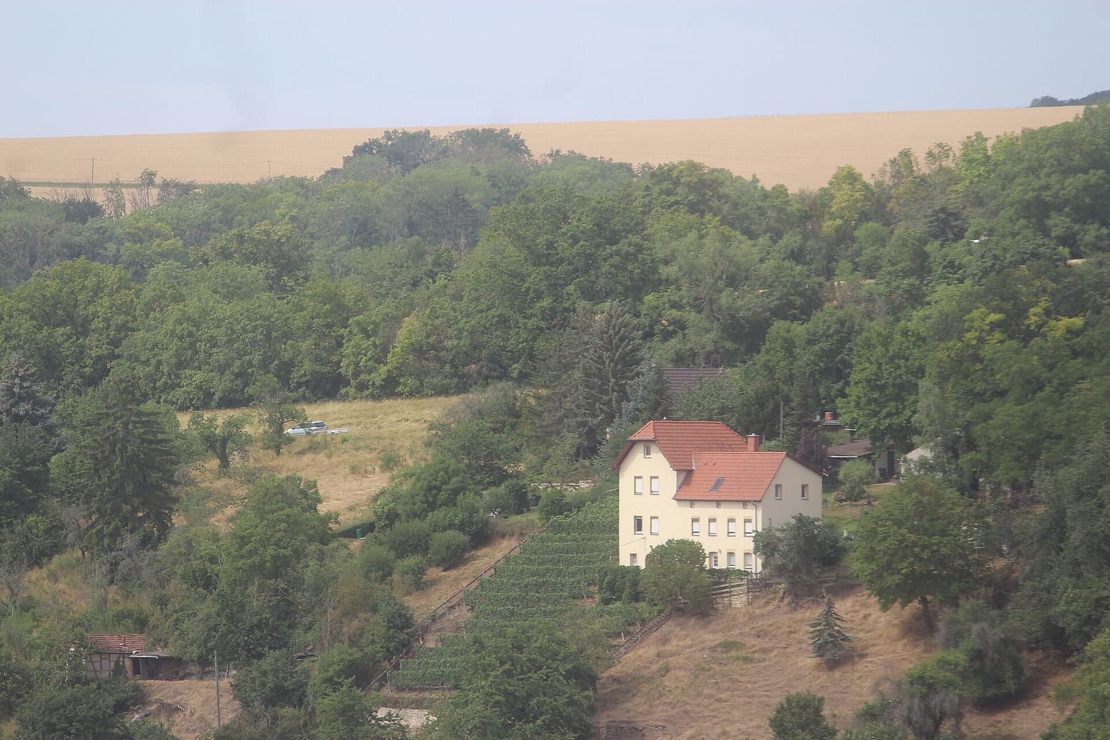 Weinbergcafe photo 3