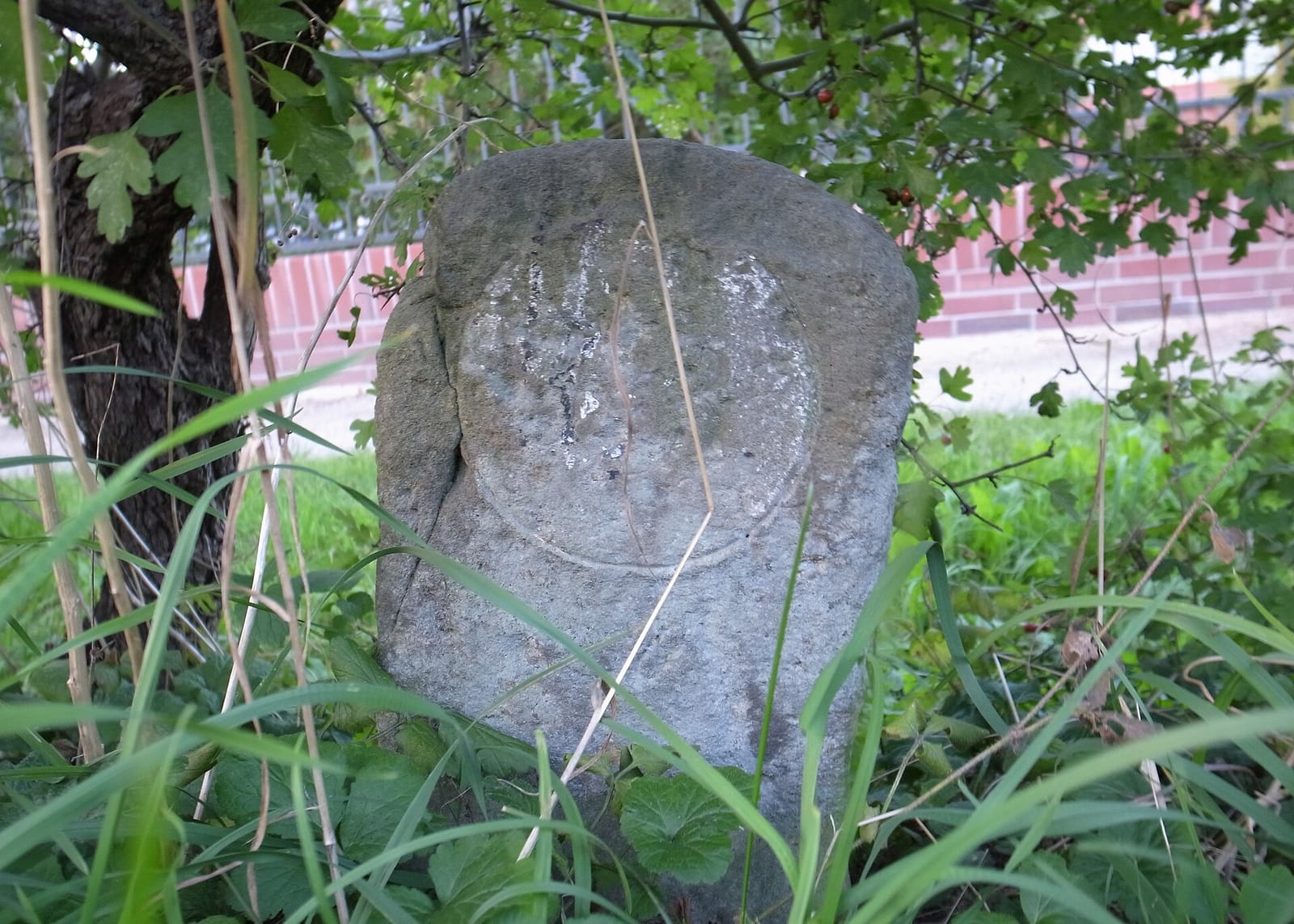 Eisdiele photo 2