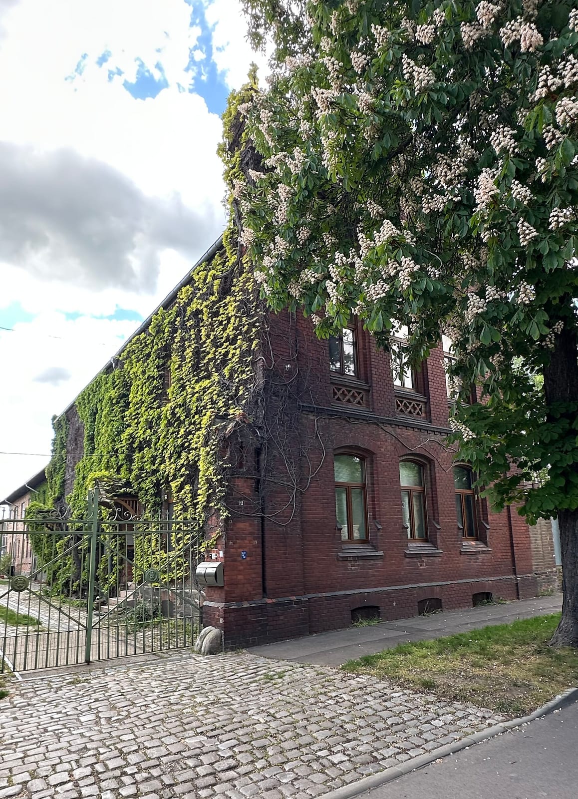 Café Parkstraße photo 3