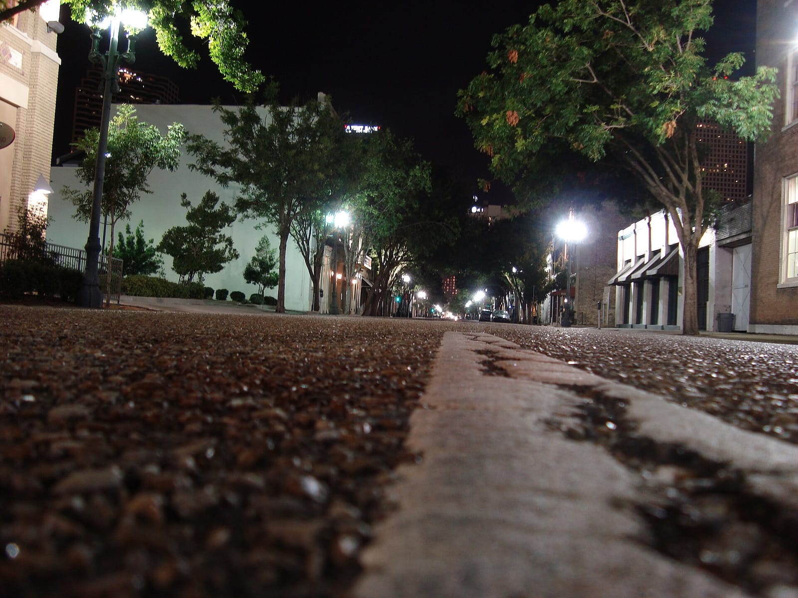 Mammoth Espresso photo 2
