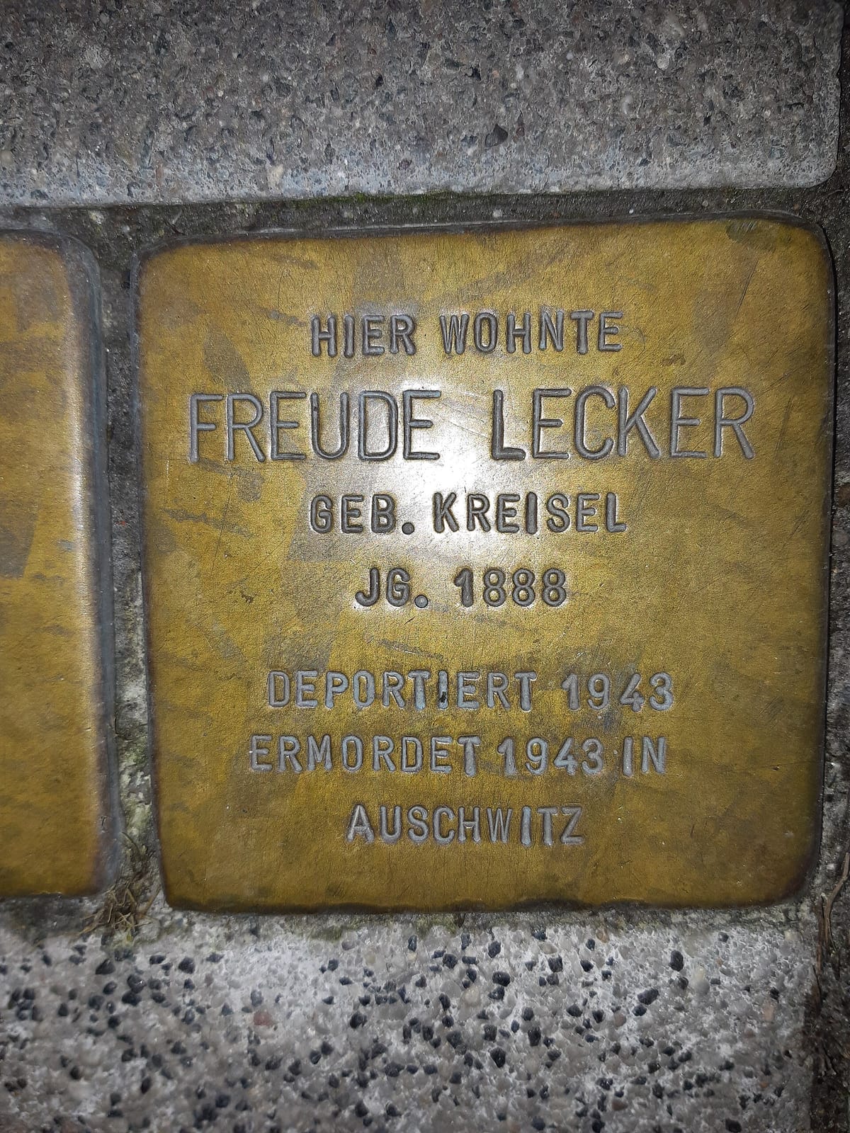 Zwölf photo 2