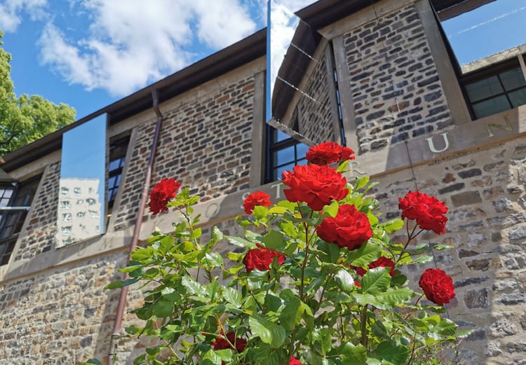Café & Eventlocation im Kunstmuseum Kloster Unser Lieben Frauen photo 5