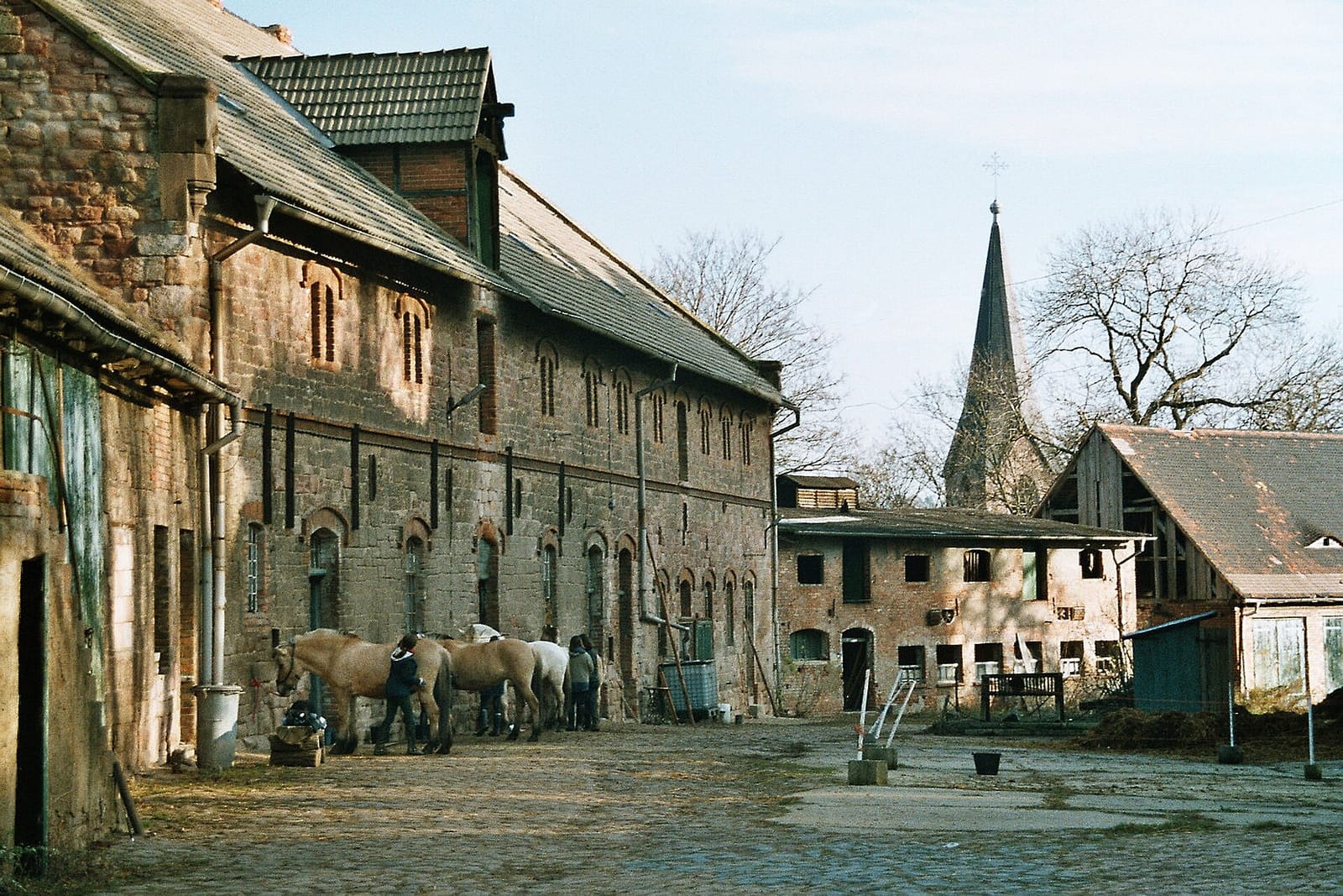 Hofcafé in der Burg Friedeburg photo 3