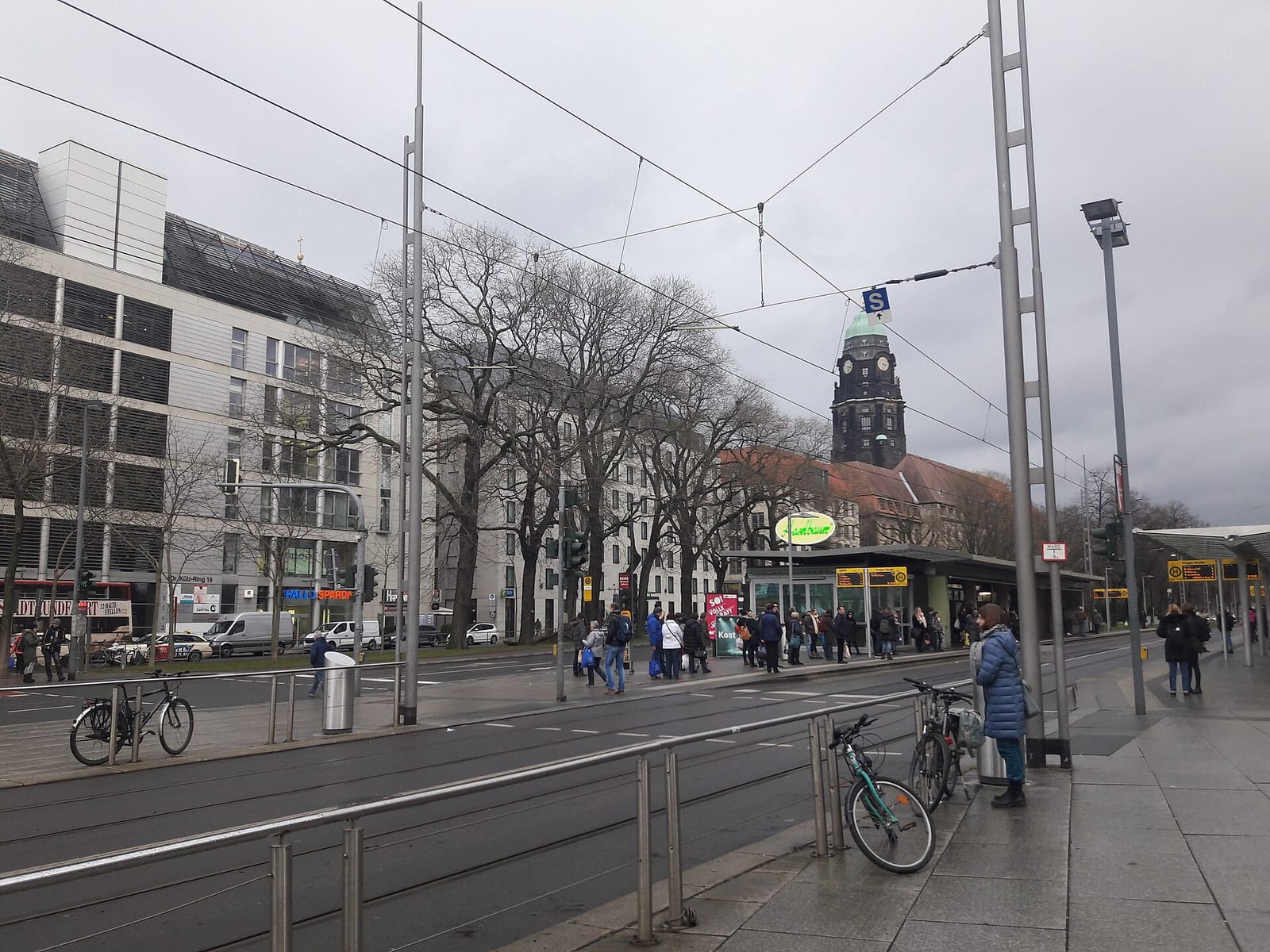Haselbauer photo 3
