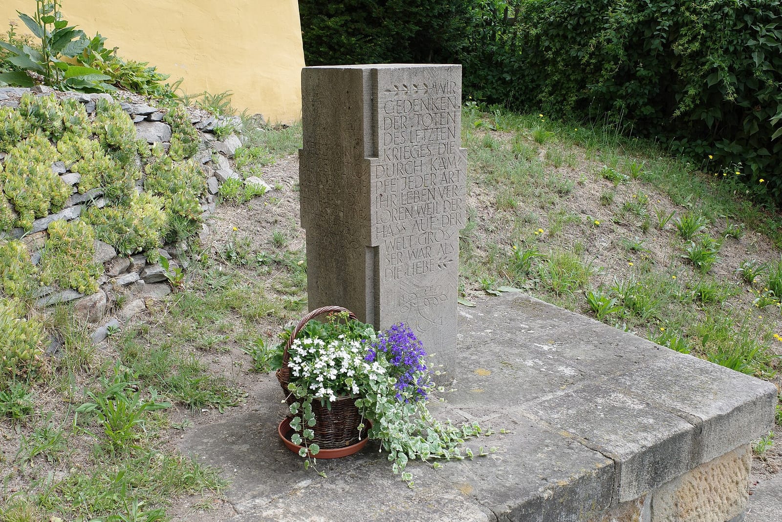 Bellino photo 4
