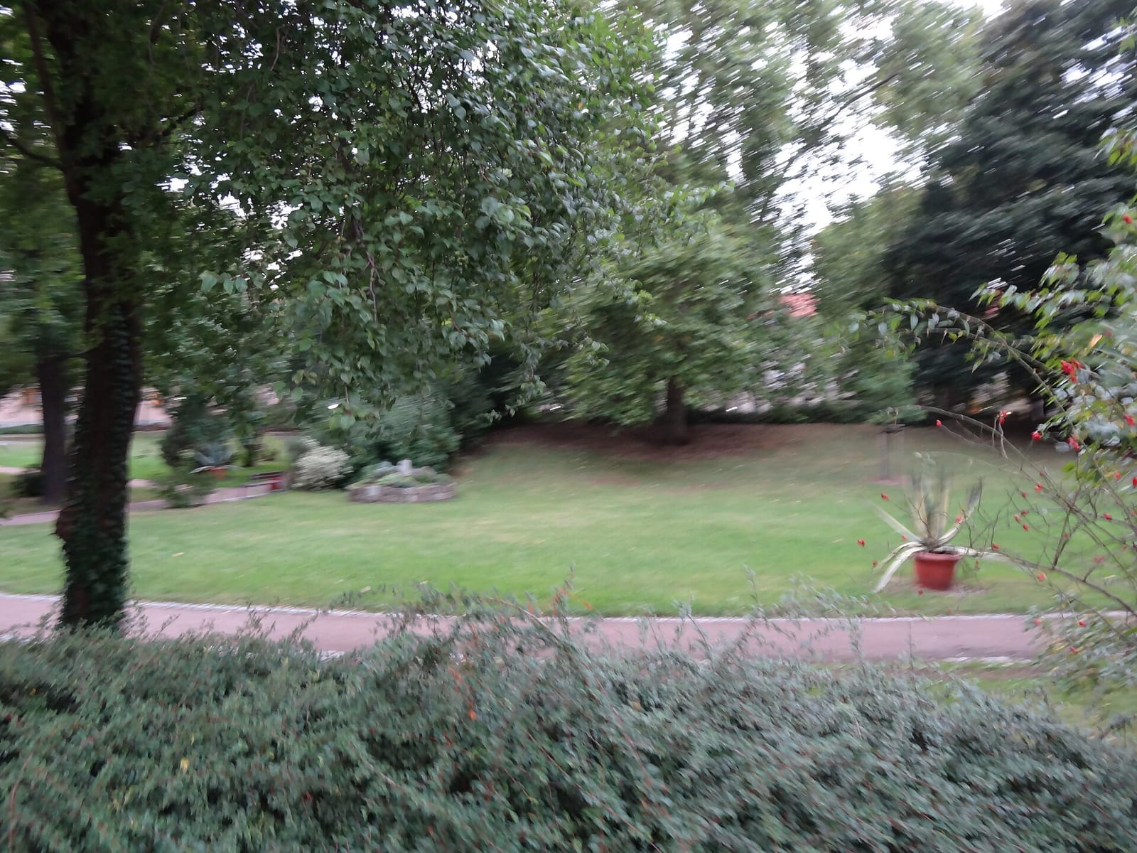 Luby 2 photo 4