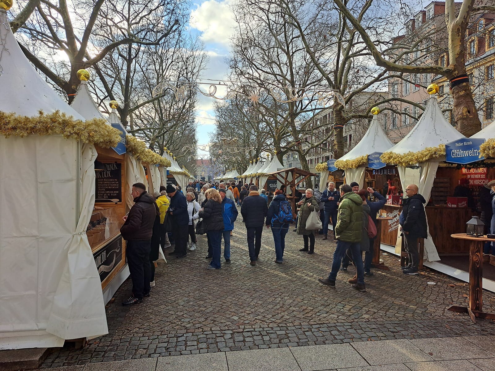 Schwerdtner photo 2