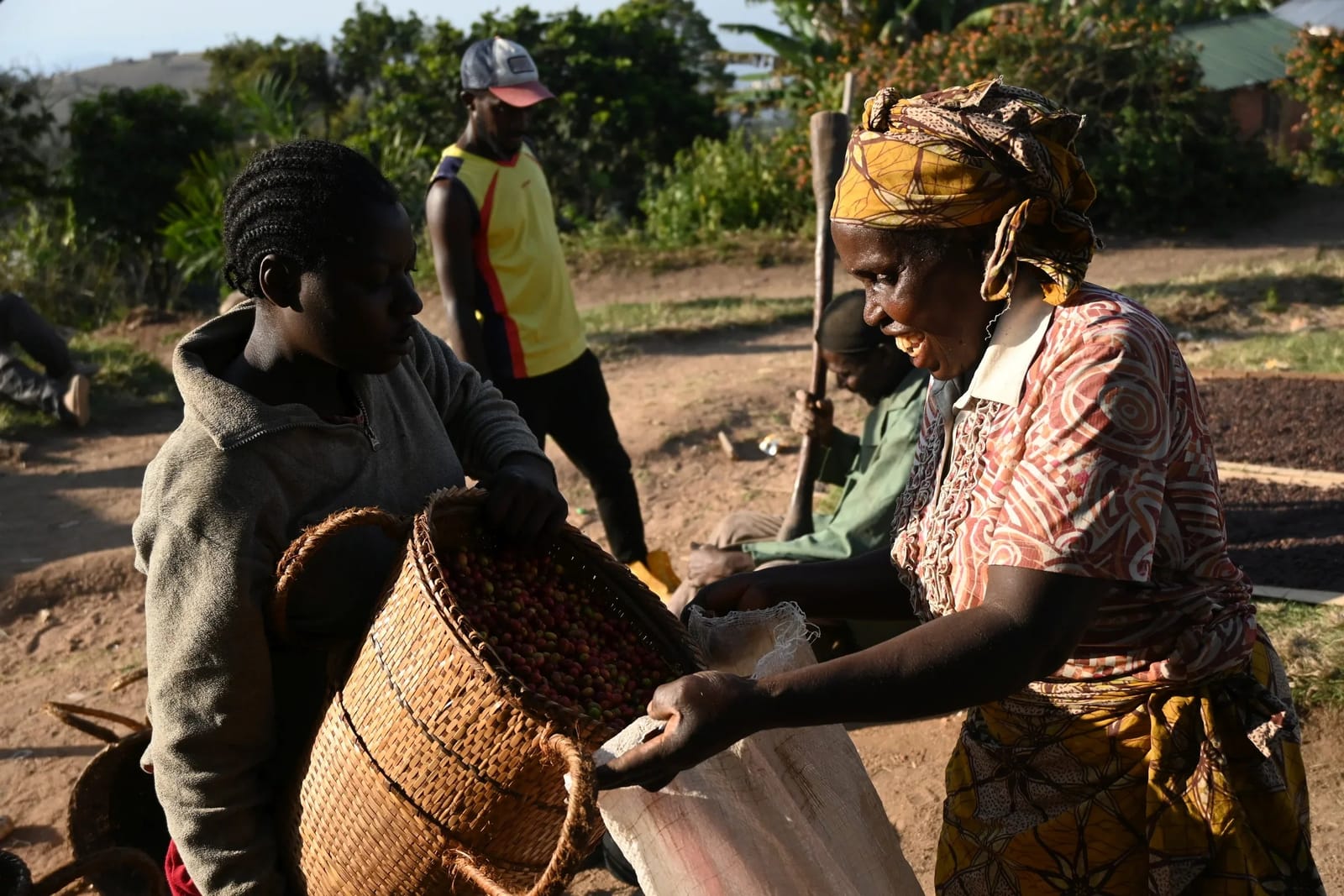 Cross River Coffee photo 3