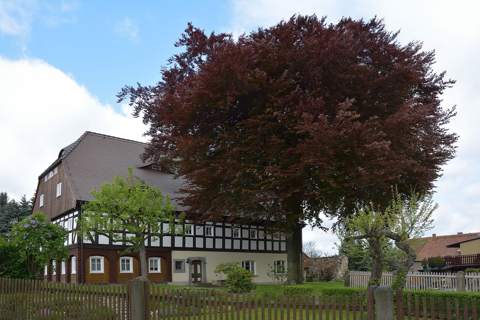 Café Brumme