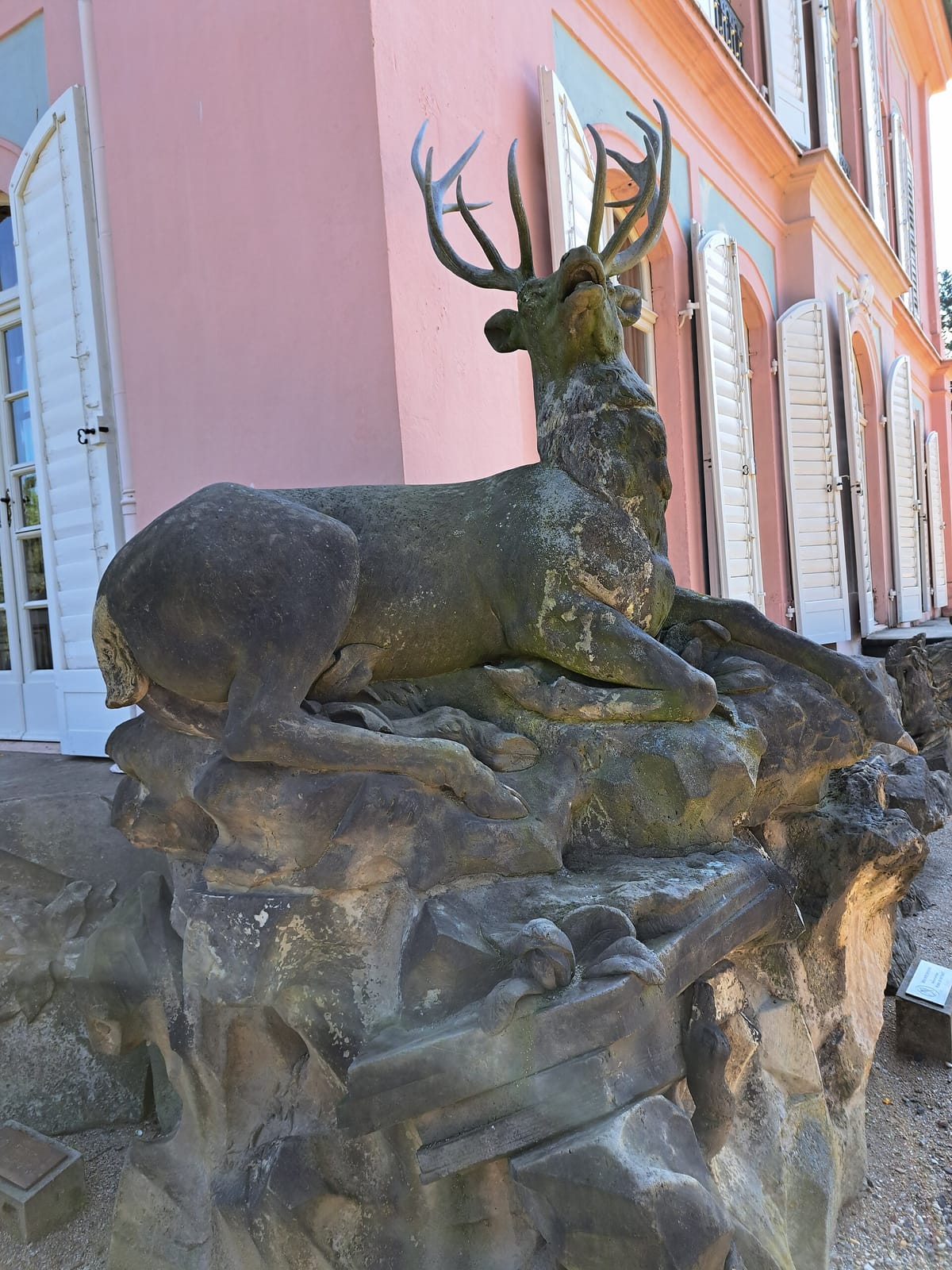Café am Fasanenschloss photo 3