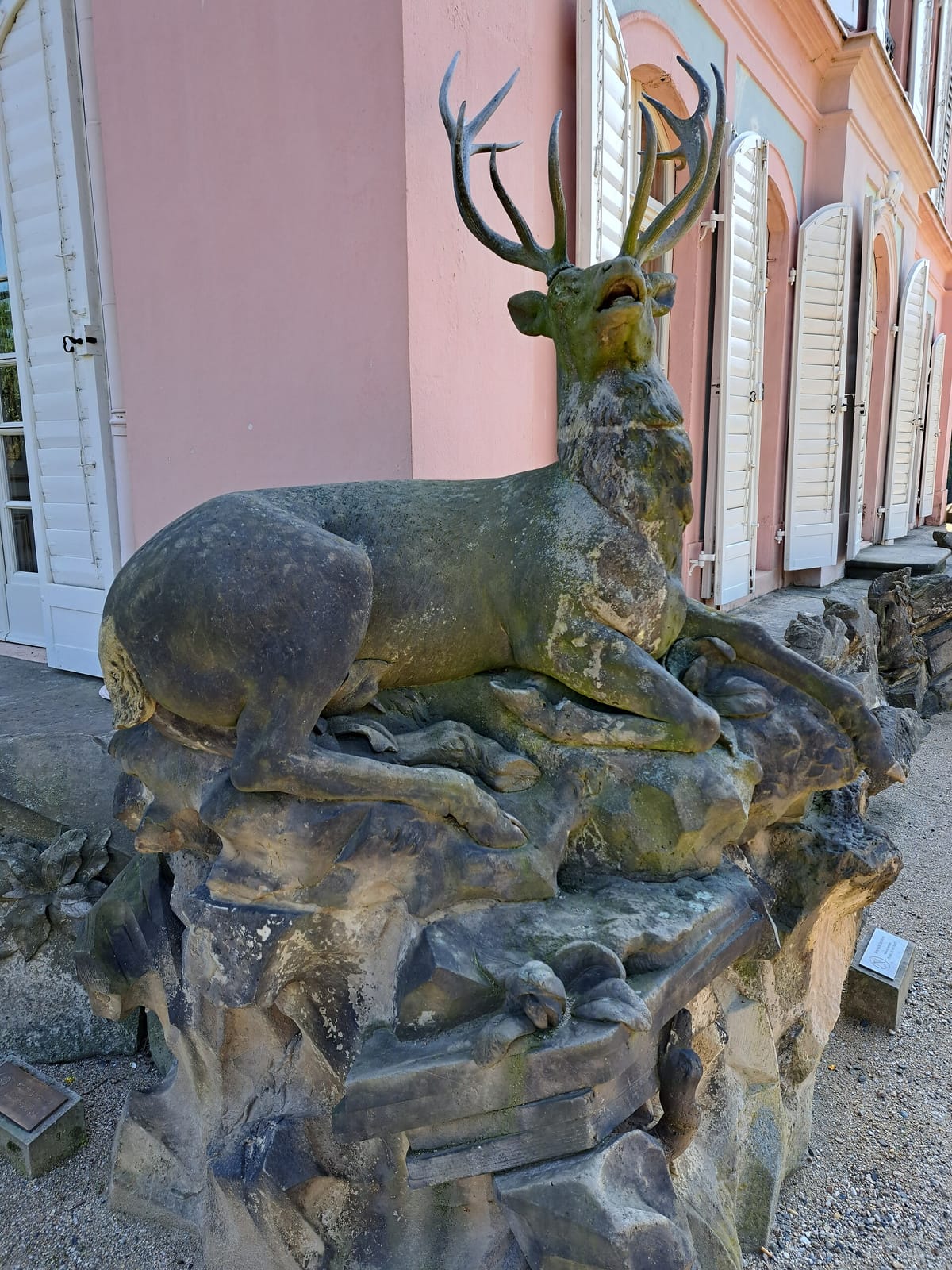 Café am Fasanenschloss photo 2