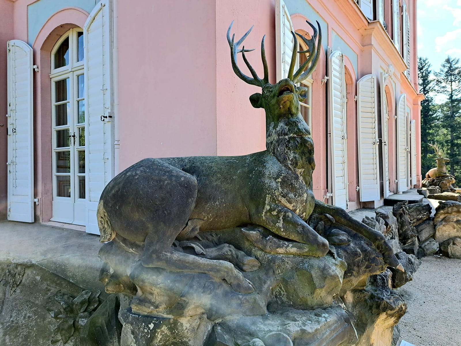 Café am Fasanenschloss photo 4