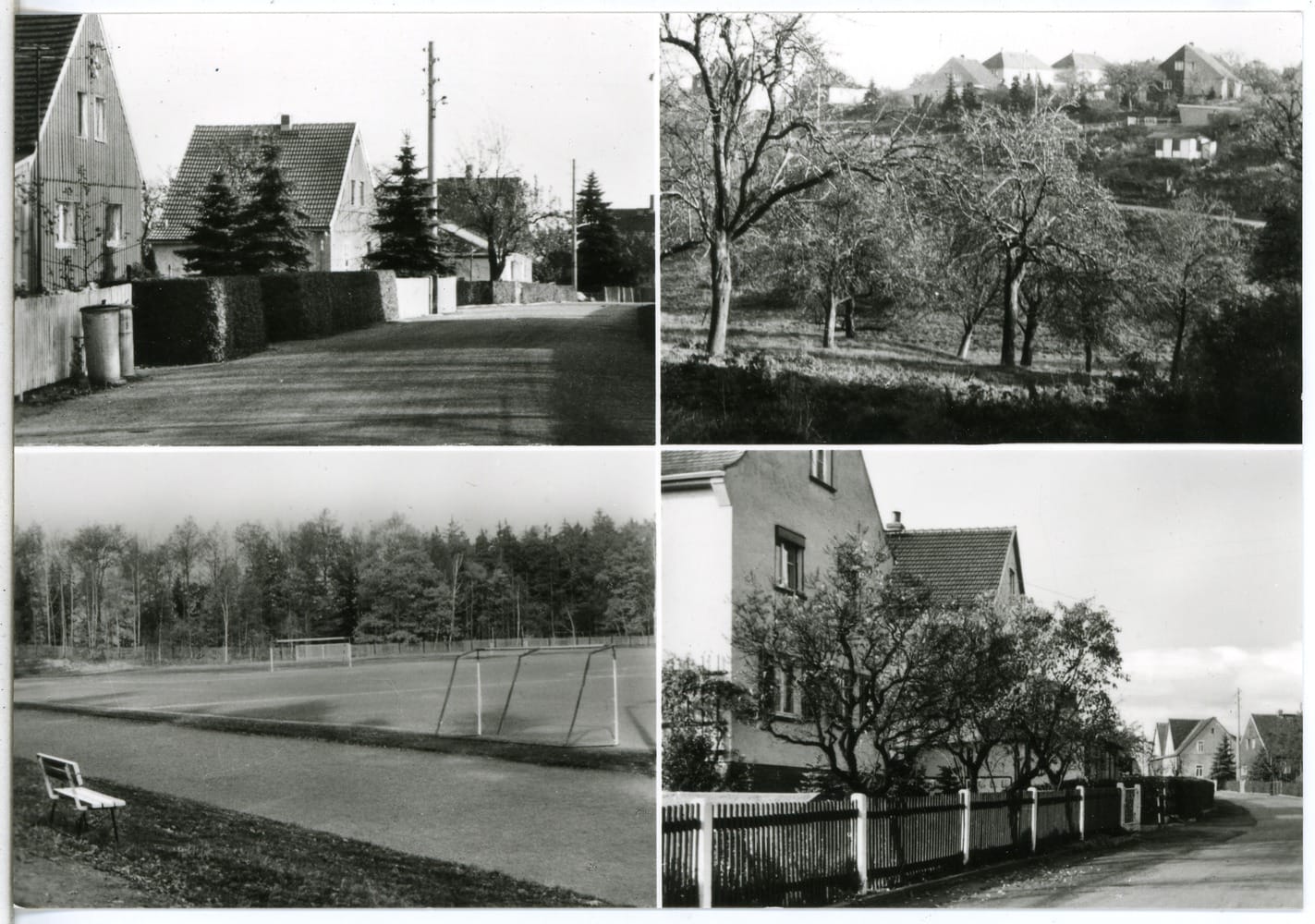 Landbäckerei Friedrich photo 2