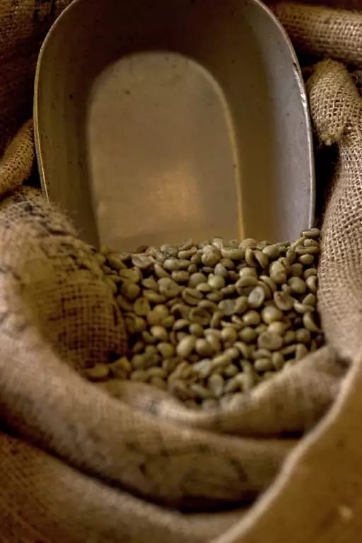 Kaffeerösterei Büttner photo 3