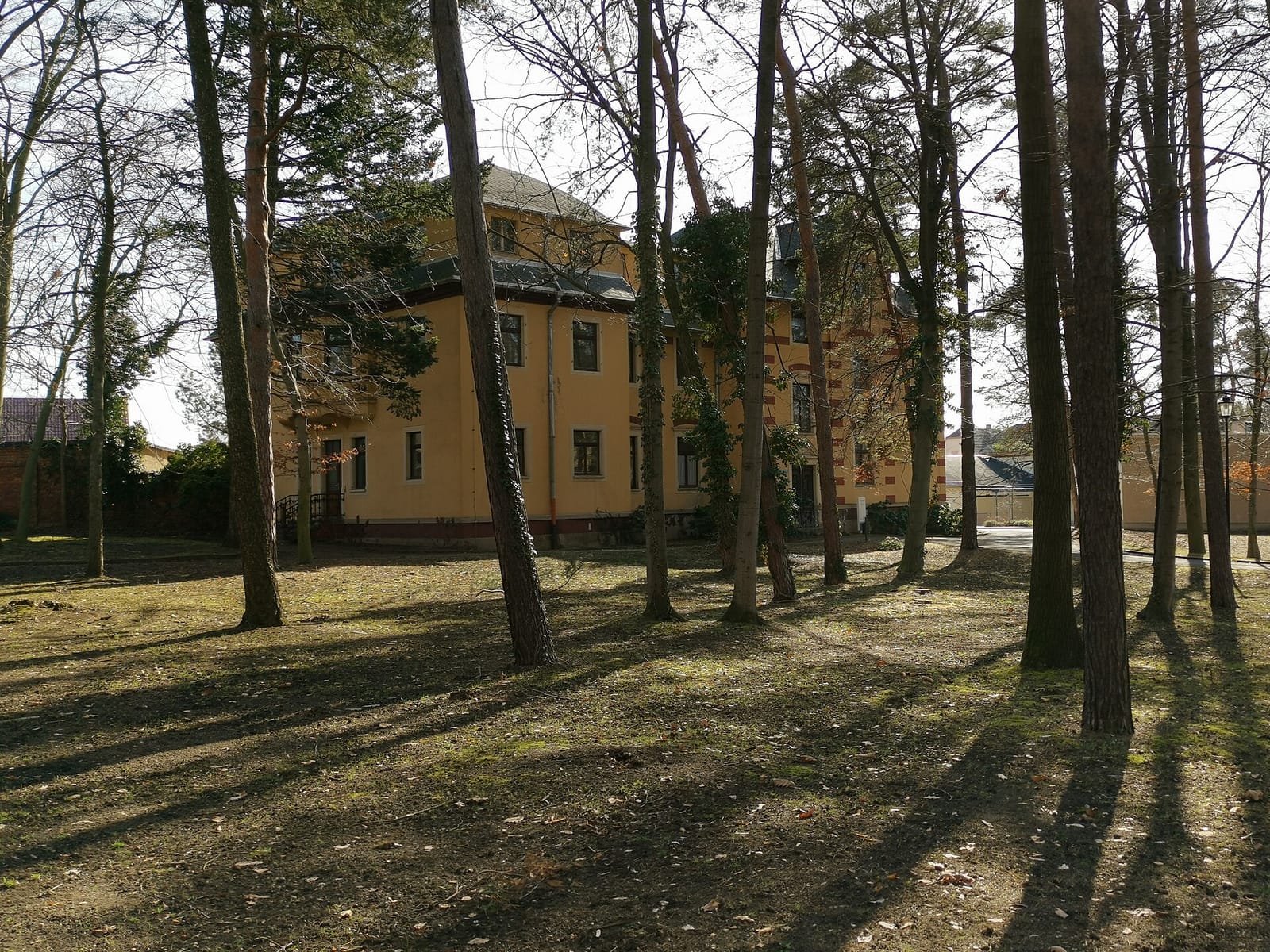 Lindencafé photo 2