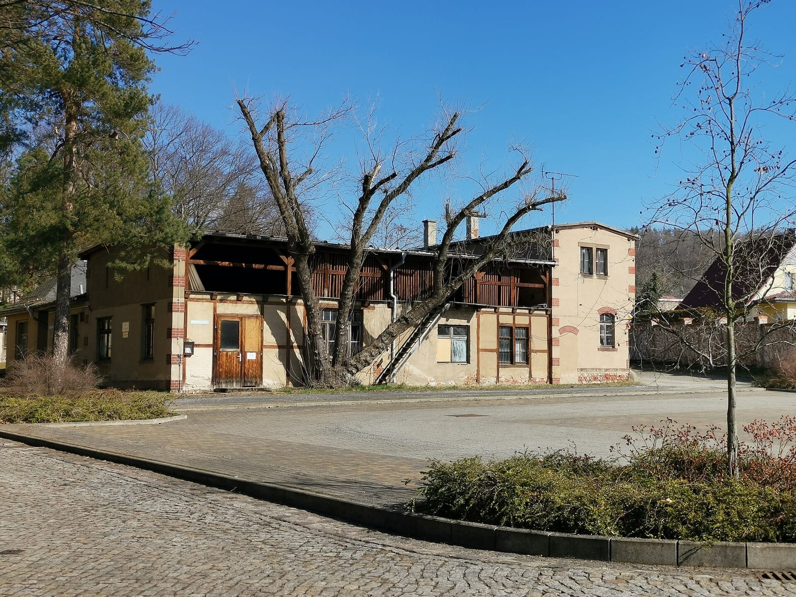Lindencafé photo 3