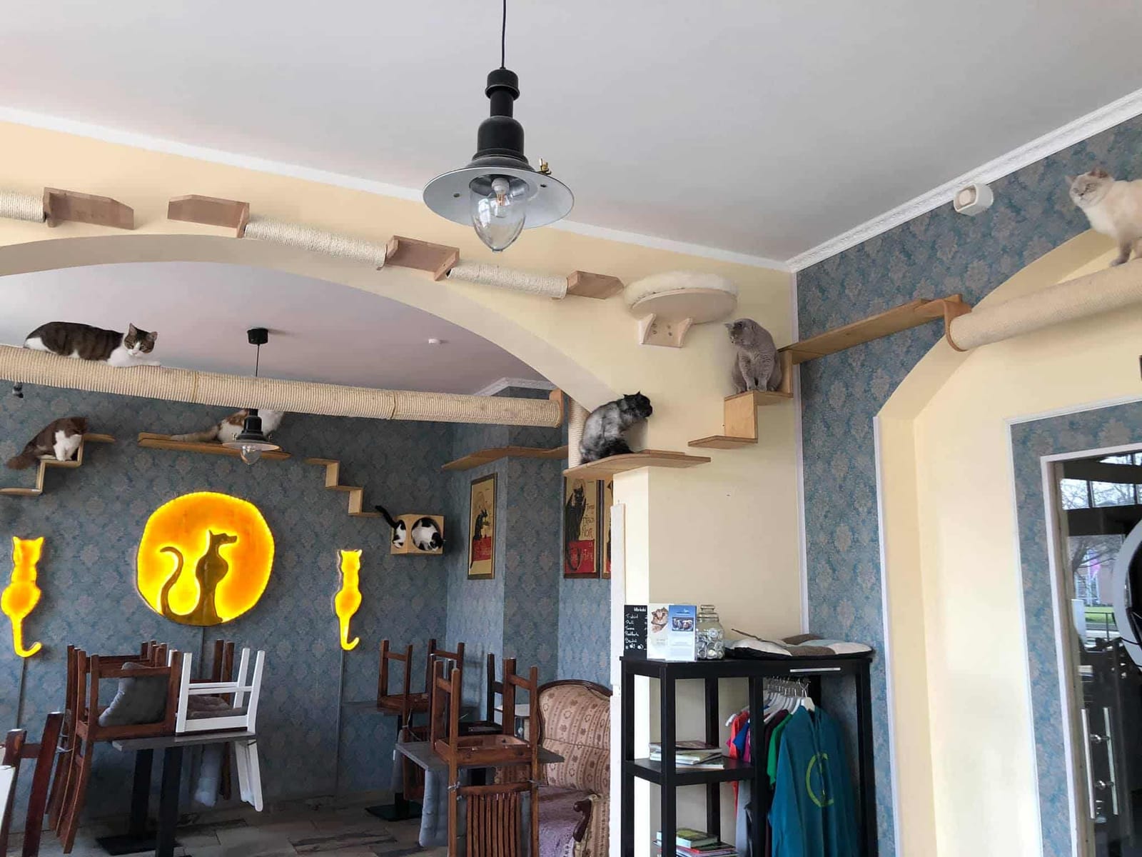 Cafe Katzentempel
