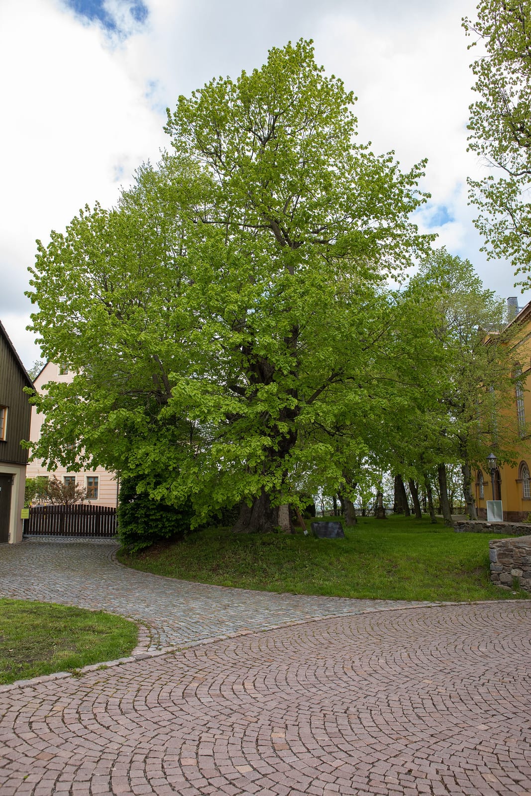 Röstcafé Augustusburg