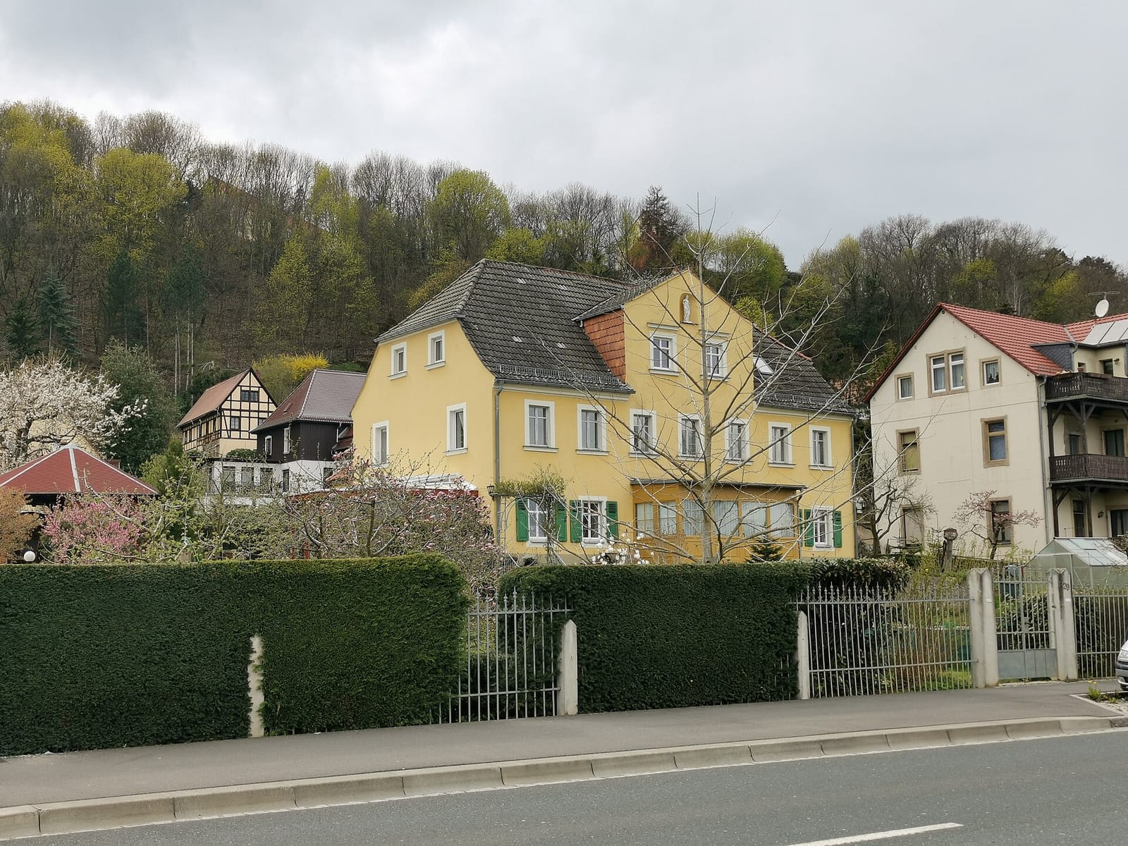 Eisbus Meissen photo 3