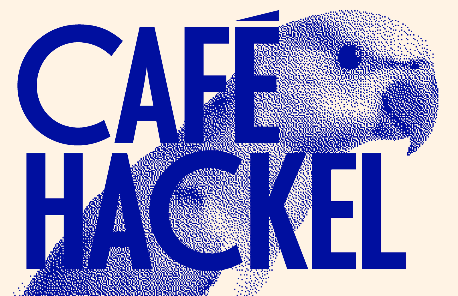 Café Hackel photo 5