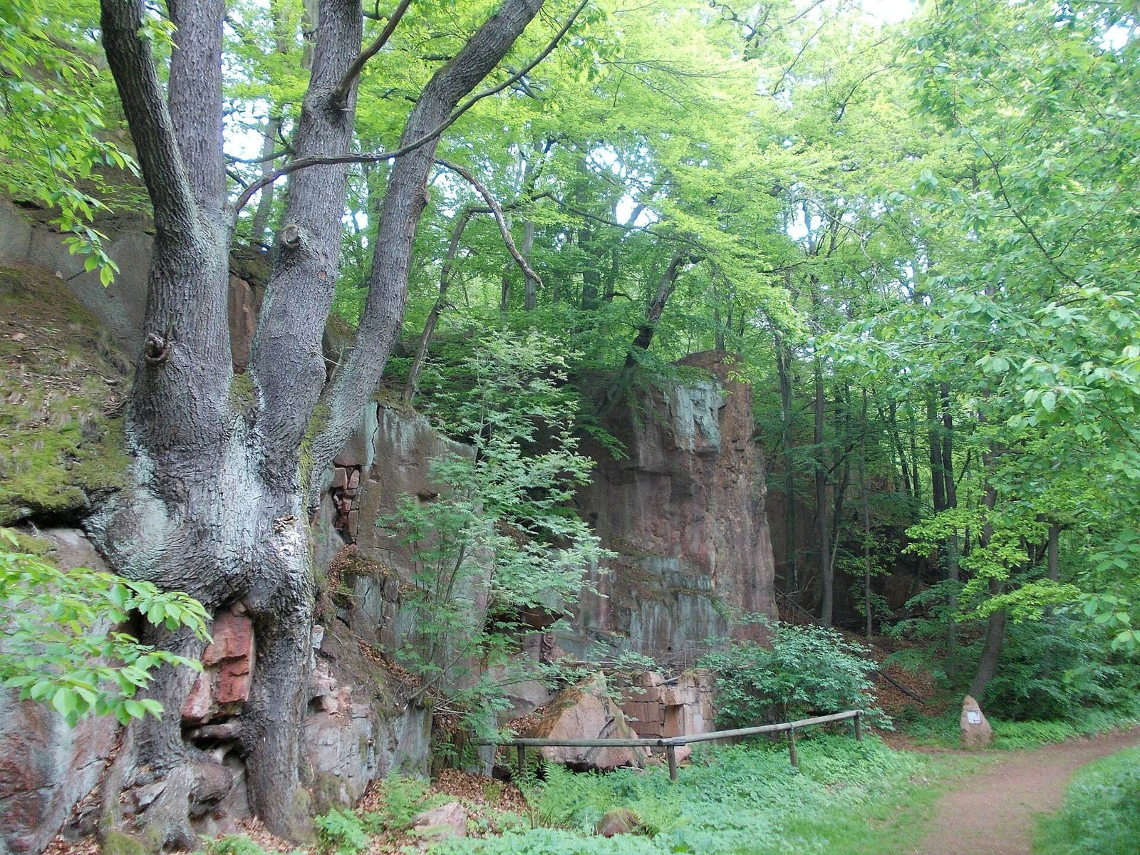 Waldschlösschen photo 4