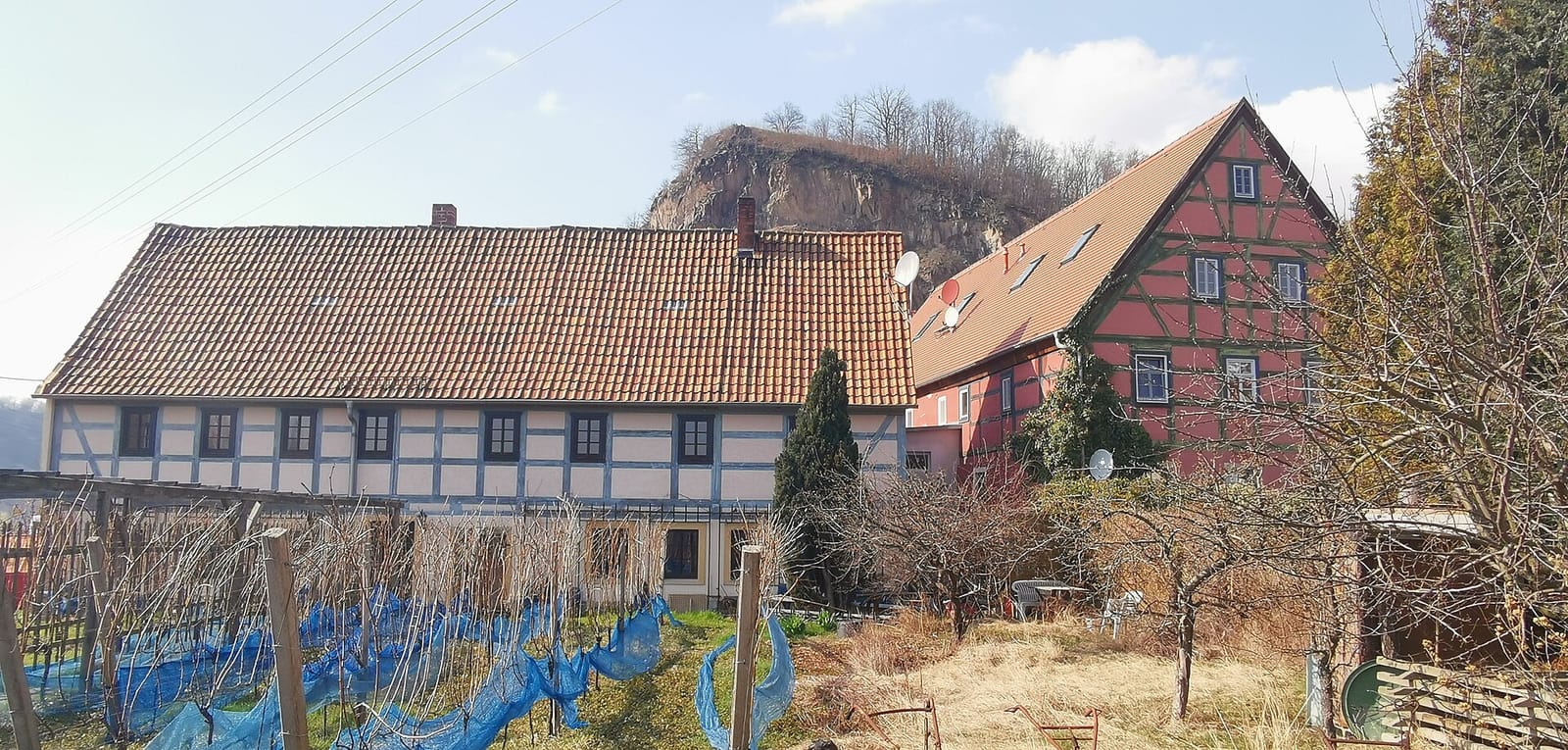 Eisgarten & Café Kralacek photo 3