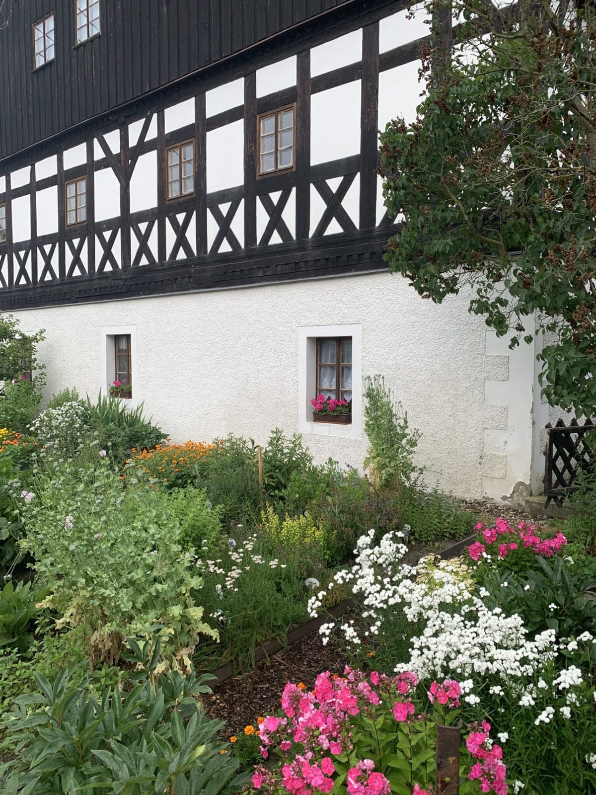 Café Mauersberger photo 5