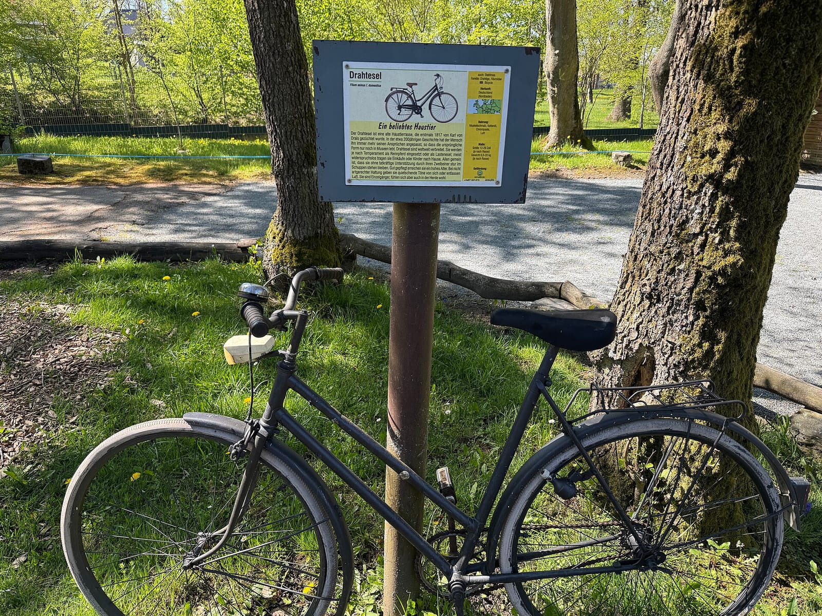 Lieblingscafé am Tiergarten photo 3