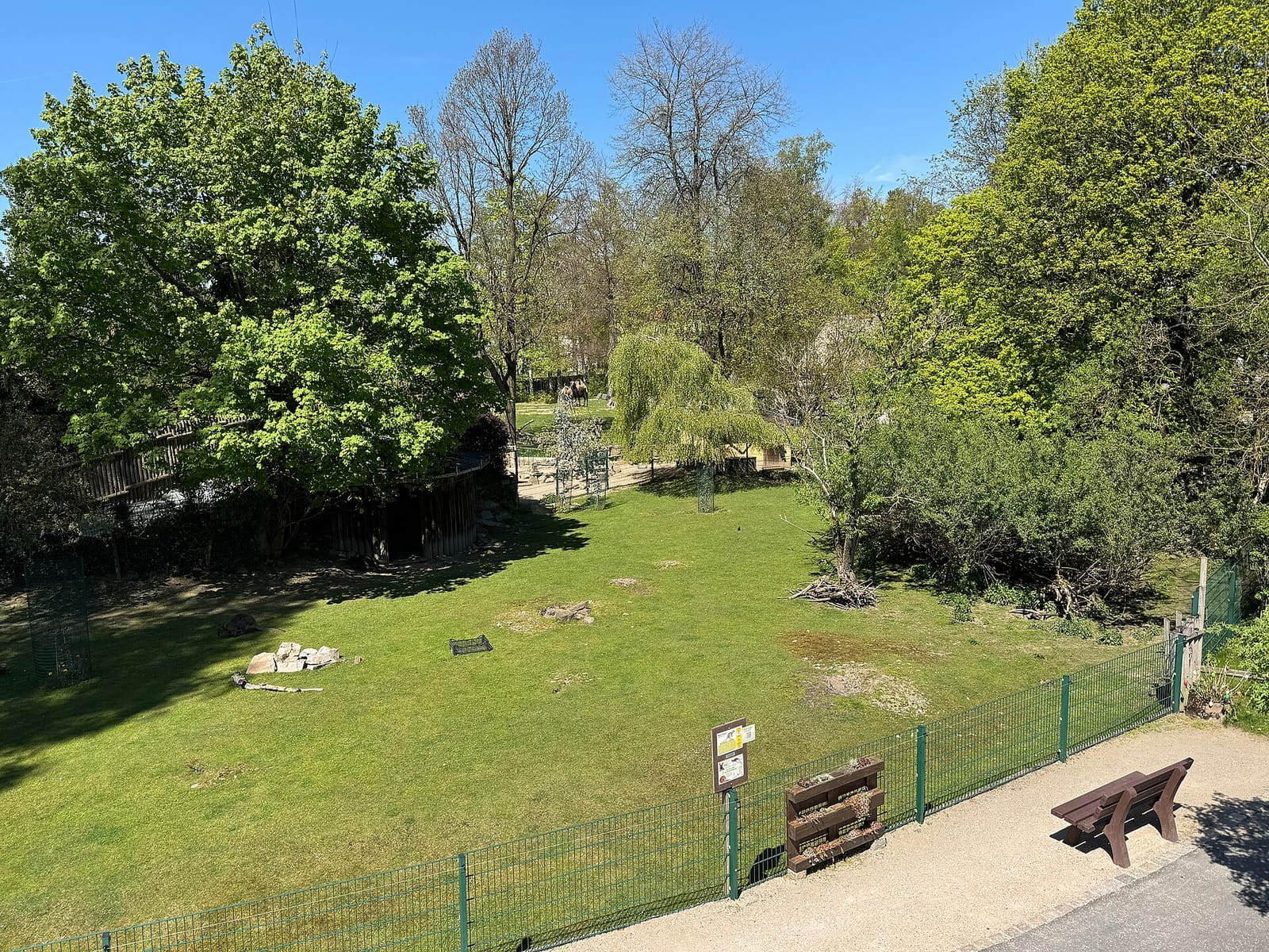 Lieblingscafé am Tiergarten photo 2