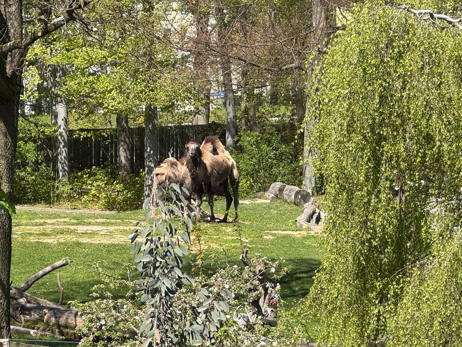 Lieblingscafé am Tiergarten photo 5