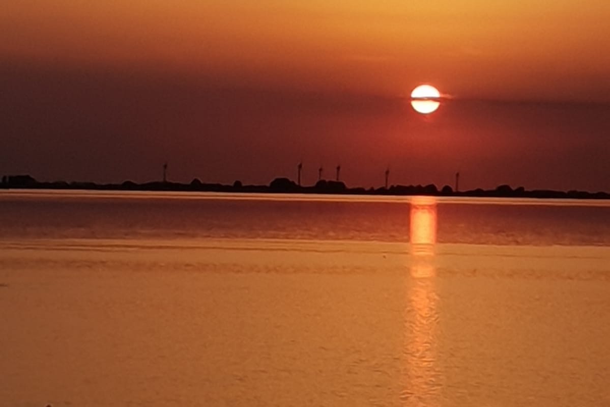 Wunderbar am Dockkoog photo 8