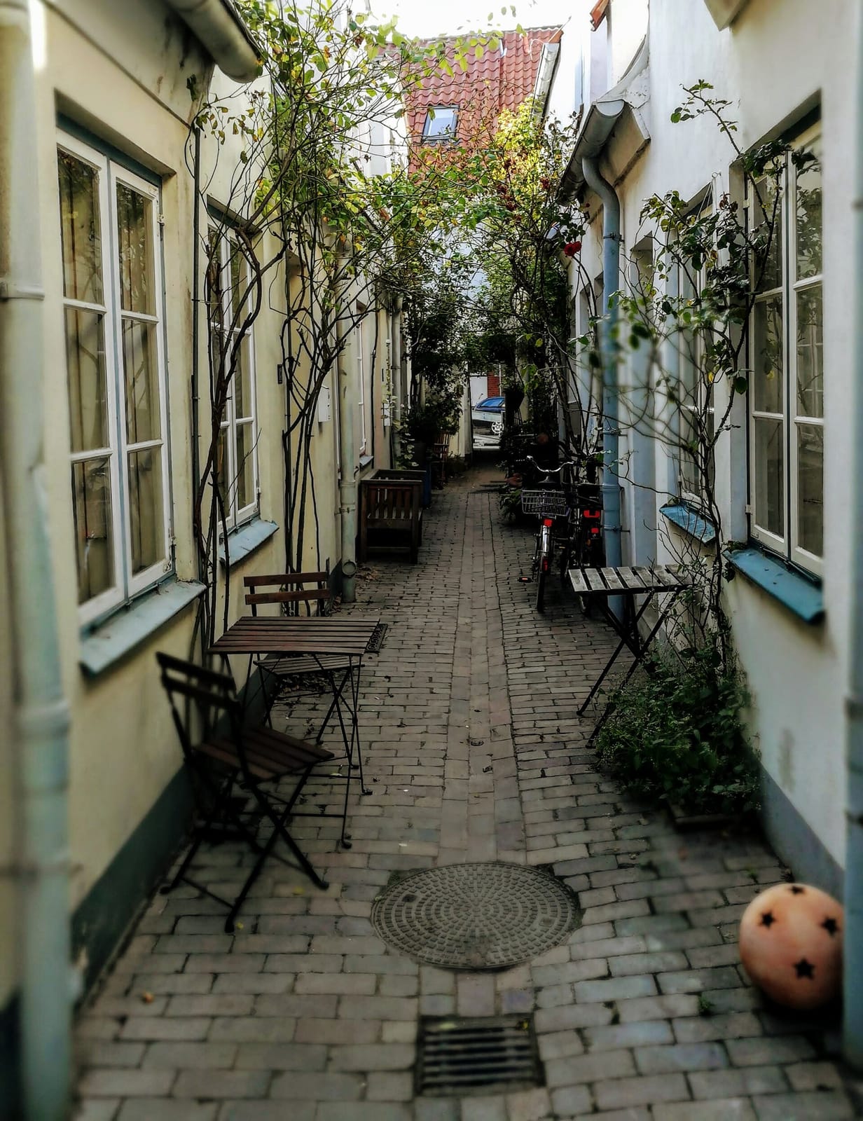 Café Affenbrot photo 3