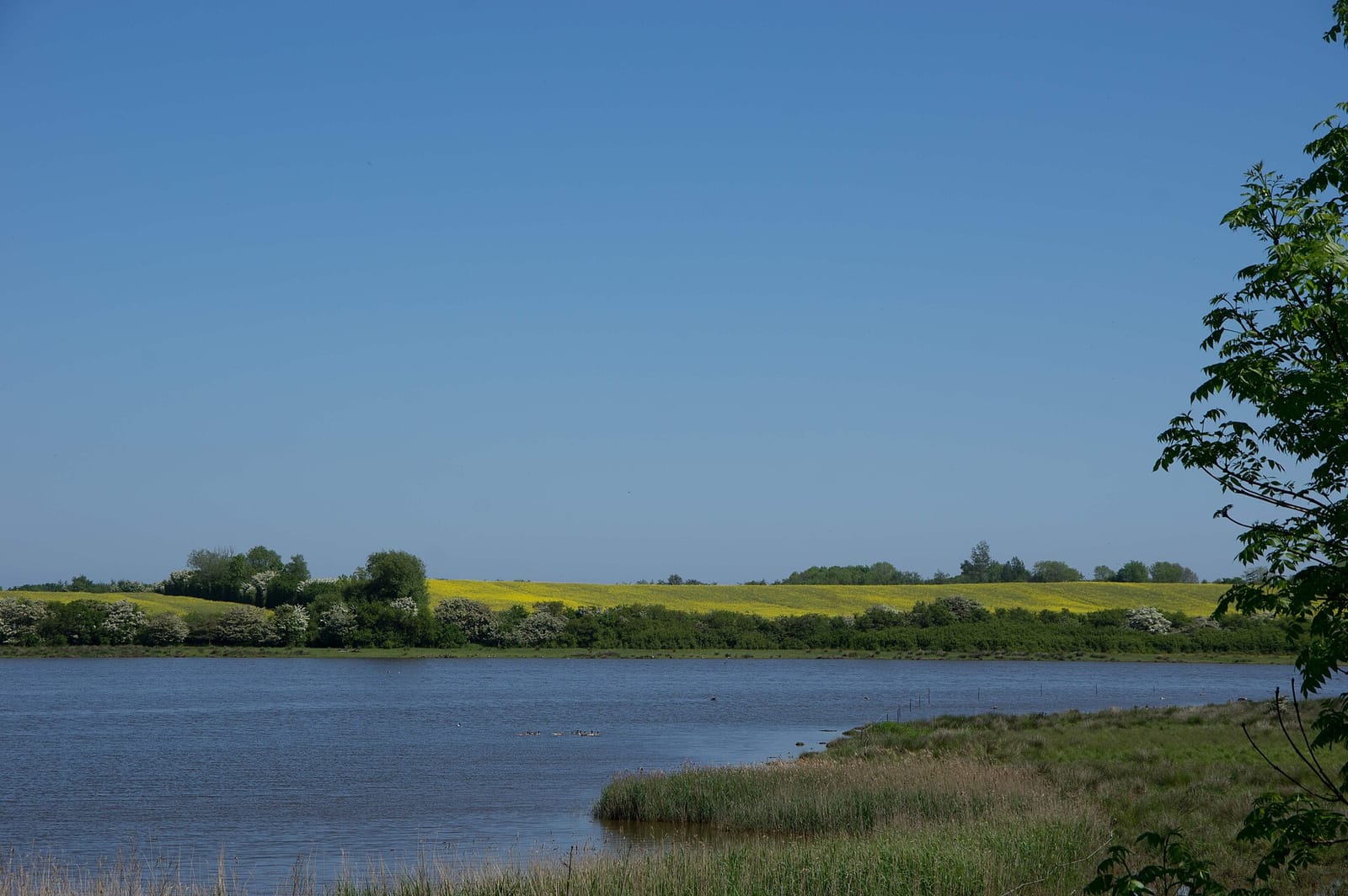 Birklein photo 2