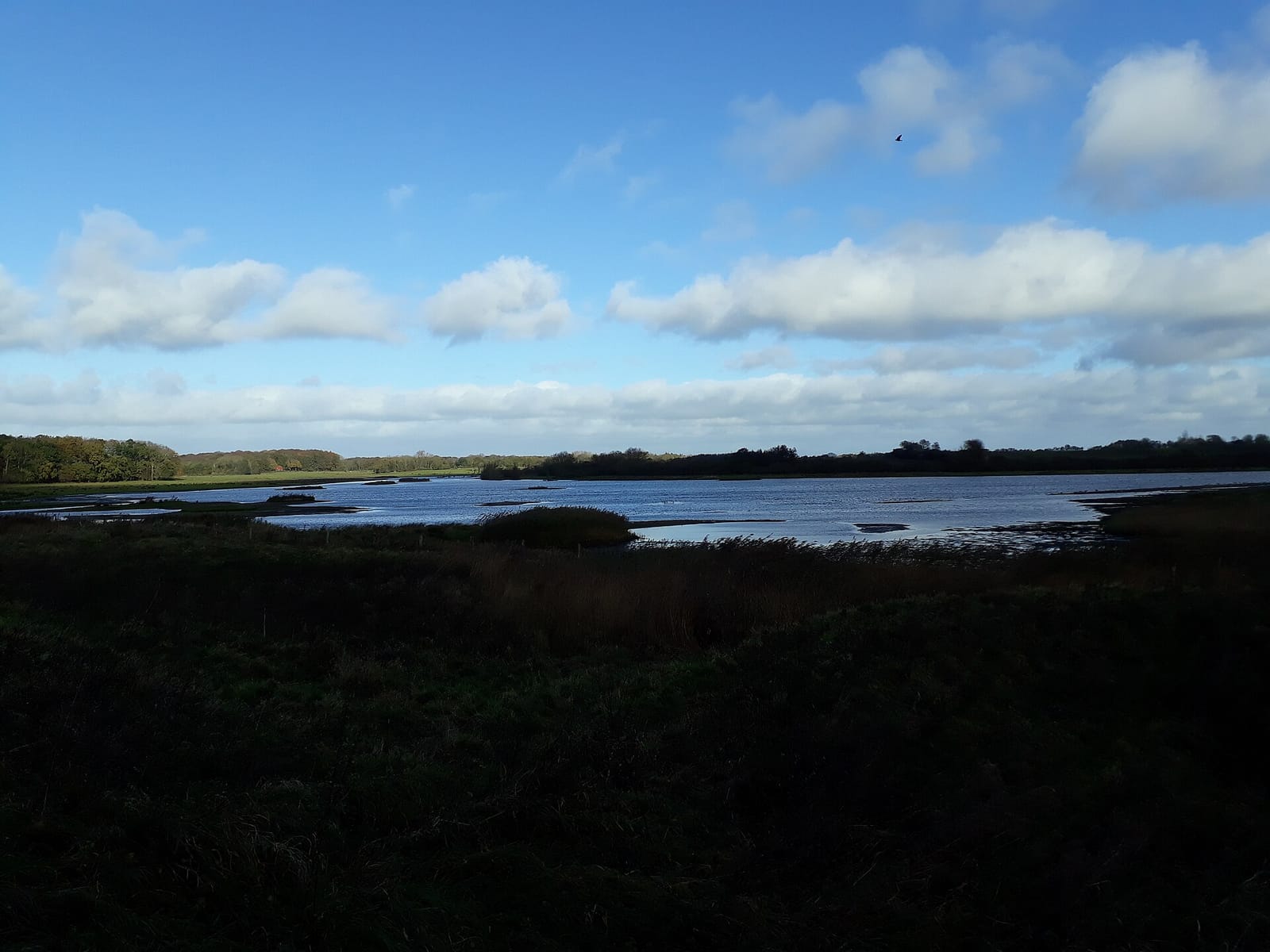 Birklein photo 3