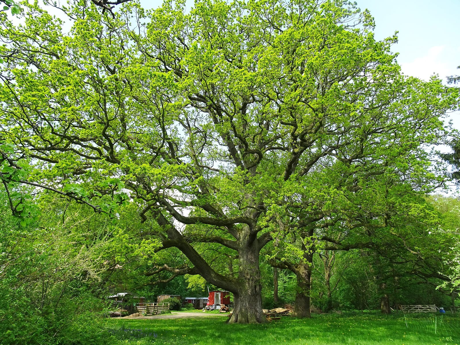Hof Klostersee photo 2