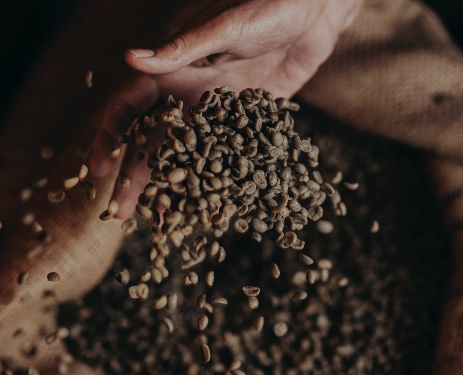 Sunbeam Coffee GmbH photo 5