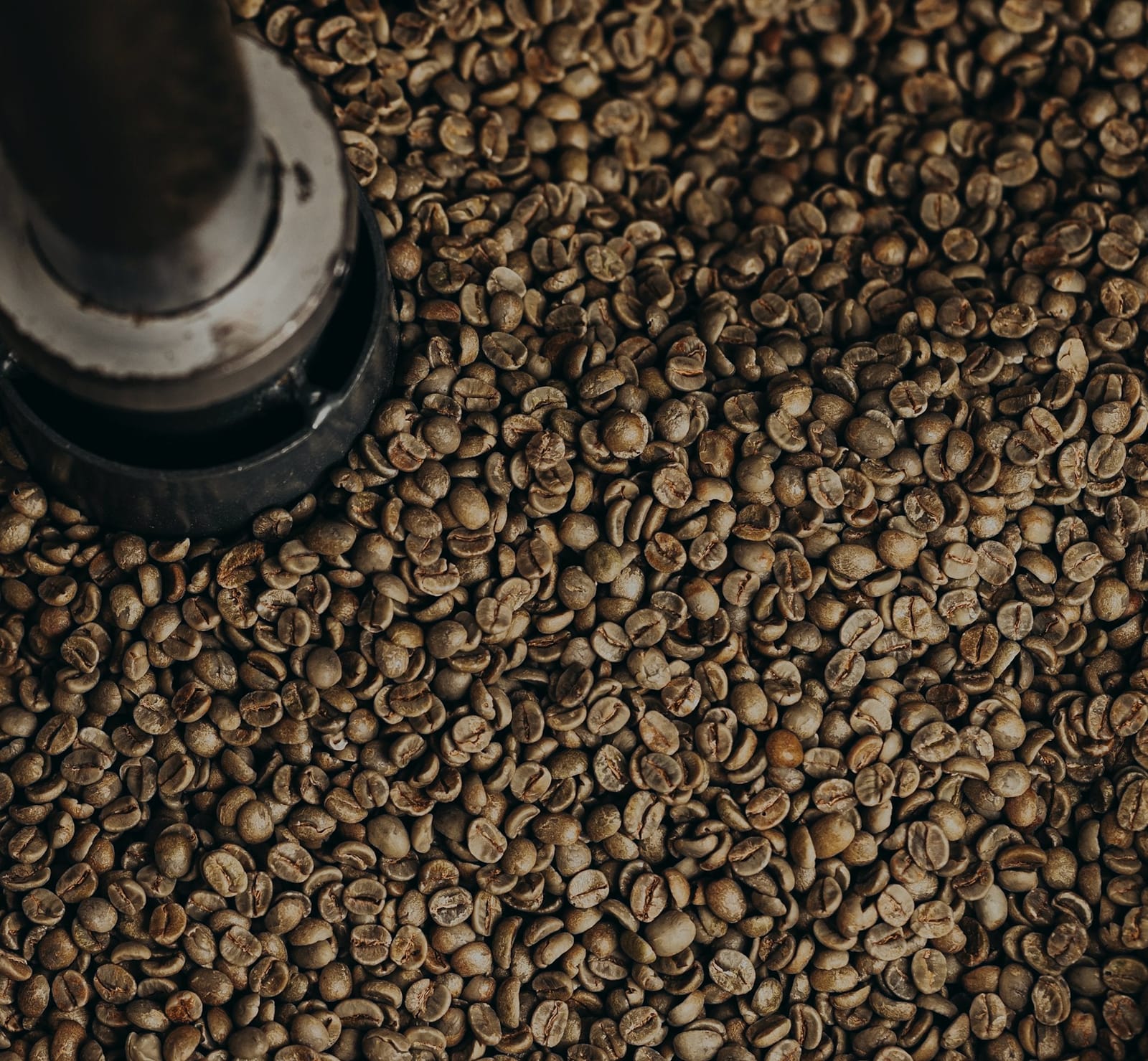 Sunbeam Coffee GmbH photo 6