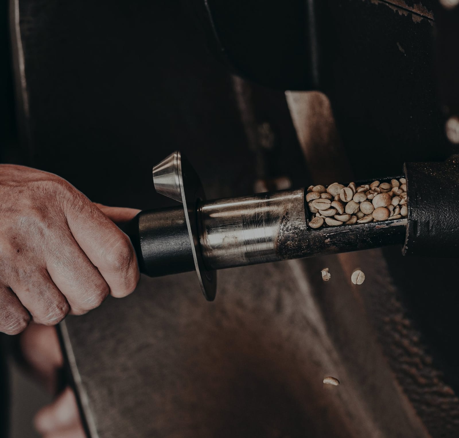Sunbeam Coffee GmbH photo 4