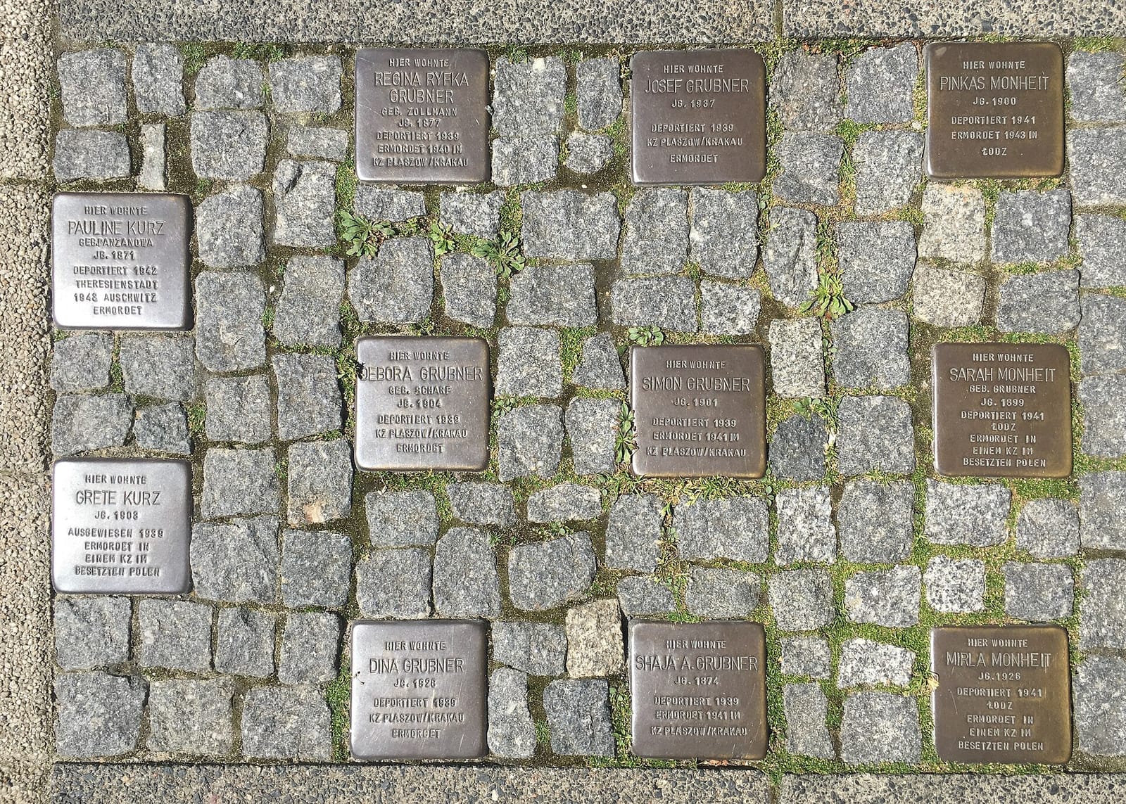 Eleven photo 4