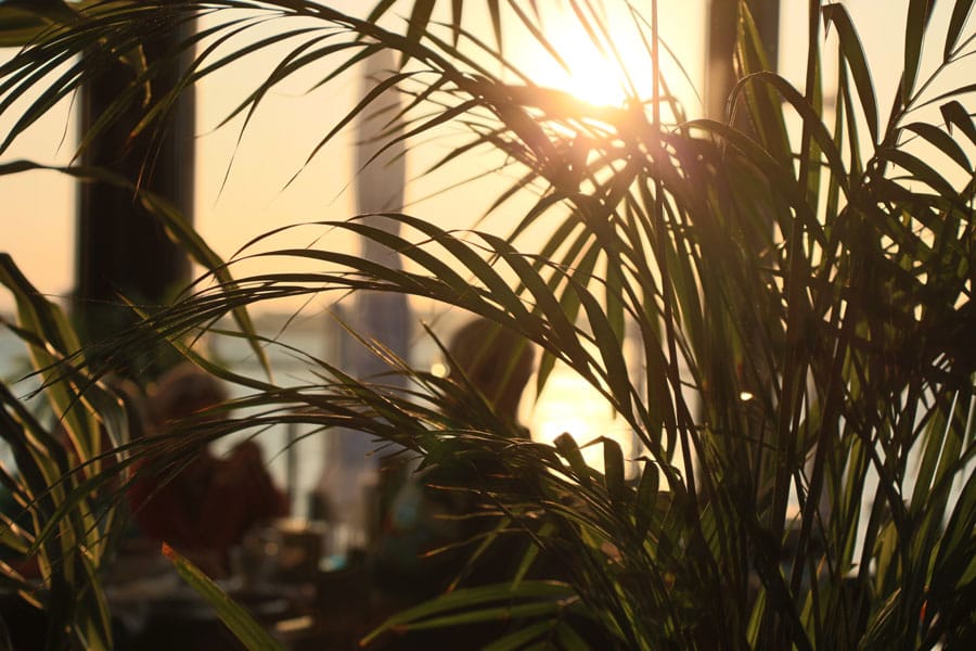 El Sol Café & Meer photo 8