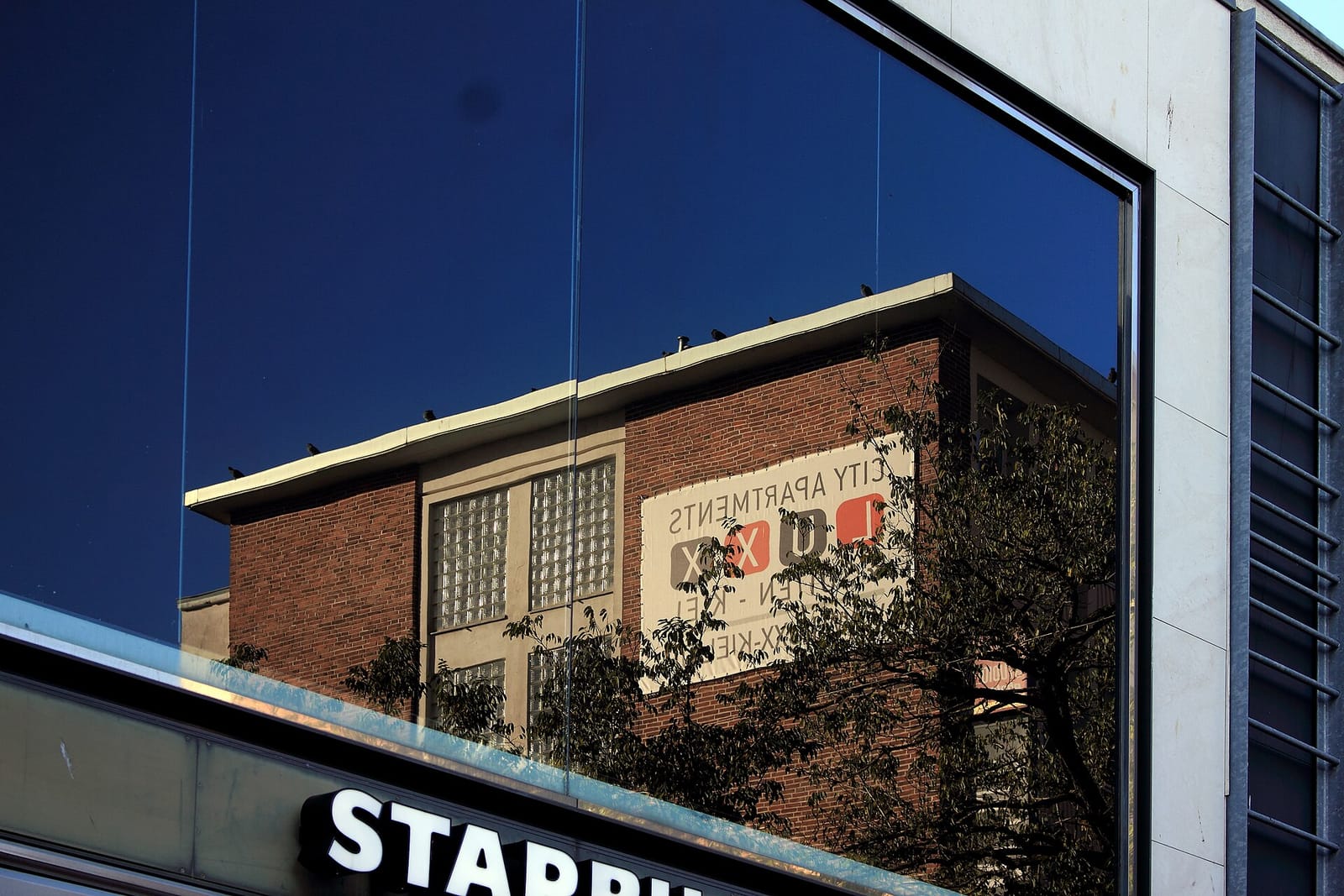 Starbucks photo 3