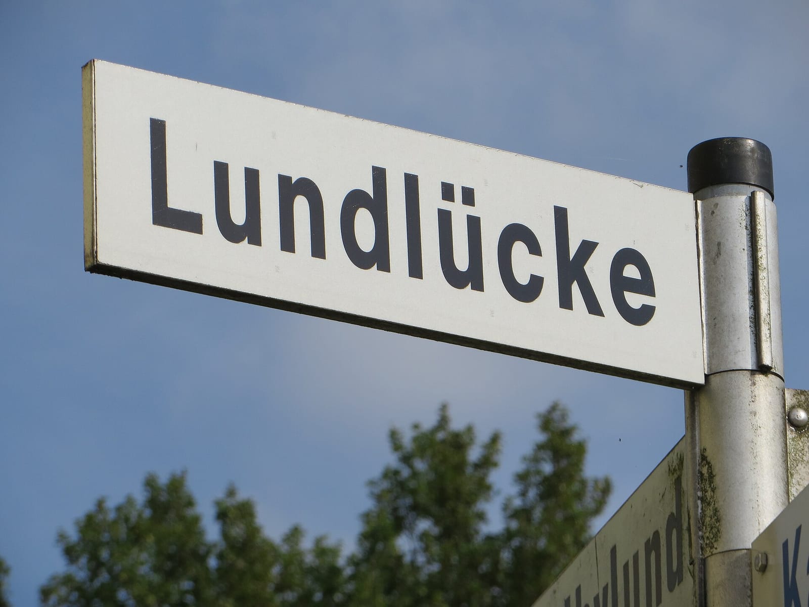 Medelbyer Landbäckerei photo 4